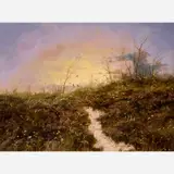 Thomas DeDecker, Untitled (Wildflower Field)