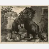 John Steuart Curry, Stallion and Jack Fighting