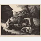 White Calf by Thomas Hart Benton, 1945, Lithograph on paper, sold Nov 2024