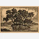 Birger Sandzén, Pond with Willows, 1930, Linocut on paper
