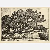 Birger Sandzén, Pines and Mountains, 1922, Lithograph