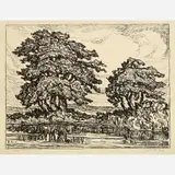 Birger Sandzén, Pool with Trees, 1923, Lithograph