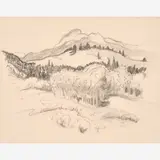 Wyoming Hills by Thomas Hart Benton, 1963, Graphite on paper, sold Dec 2023