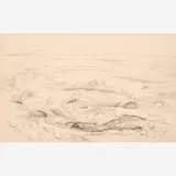 Thomas Hart Benton, Study of Swirling Grass for "Wyoming Hay," from the Nature Sketchbook
