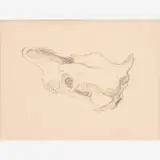 Thomas Hart Benton, Cow Skull Study for "The Sheepherder", circa 1955-60