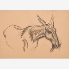 Mule Eating Grass by Thomas Hart Benton, 1936, Graphite on paper, sold Dec 2023