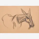 Mule Eating Grass by Thomas Hart Benton, 1936, Graphite on paper, sold Dec 2023