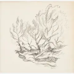 Trees Along the Missouri by Thomas Hart Benton, 1965, Graphite on paper, sold Dec 2023
