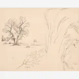 Thomas Hart Benton, Sketches of a Tree and Tall Grasses from the Nature Sketchbook