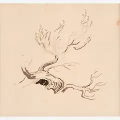 Thomas Hart Benton, Study of Tree Branches, 1963, Ink on paper