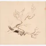 Thomas Hart Benton, Study of Tree Branches
