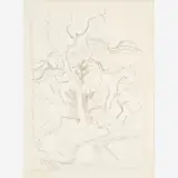 Thomas Hart Benton, Landscape with Trees, Graphite on paper