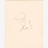 Thomas Hart Benton, Nose Sketch from the Nature Sketchbook, Graphite on paper