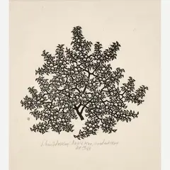 Jacques Hnizdovsky, Apple Tree, 1964, Woodcut on paper