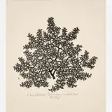 Jacques Hnizdovsky, Apple Tree, 1964, Woodcut on paper