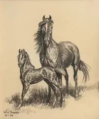 William R. James, Smoky and his Mammy, Graphite