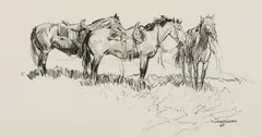 Robert Lougheed, Untitled (Saddled horses), Graphite