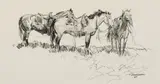 Robert Lougheed, Untitled (Saddled horses), Graphite