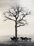 Rachel Brownlee, Standing Up to the Sky, Charcoal