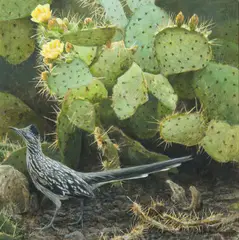Robert Bateman, Cactus and Roadrunner, Acrylic on board
