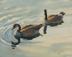 Robert Lougheed, Untitled (Canada geese), Watercolor