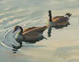 Robert Lougheed, Untitled (Canada geese), Watercolor