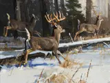 Luke Frazier, Baying of Hounds, Oil on board