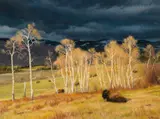 Lee Stroncek, May Shower Gleam, Lamar Valley, Oil on canvas