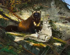 Michael Coleman, In the Great North Woods - Wolverine and Great Horned Owl, Oil on board