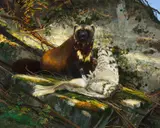Michael Coleman, In the Great North Woods - Wolverine and Great Horned Owl, Oil on board