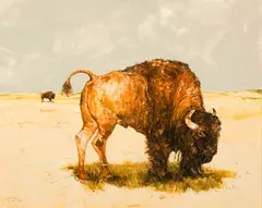 Paul Pletka, Untitled (Buffalo), Gouache