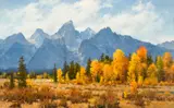 Jim Wilcox, Peak of Fall, Oil on canvas