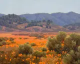 Dennis Doheny, Antelope Valley, Oil on linen