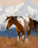 Richard Thomas, Old Warrior, Oil on board