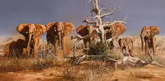 Gary Swanson, Untitled (Elephant herd), Oil on board