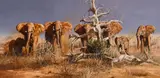 Gary Swanson, Untitled (Elephant herd), Oil on board