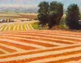 Gary Ernest Smith, Harvest Patterns