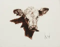 Bill Owen, Untitled (Calf portrait), Watercolor