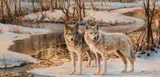 Bonnie Marris, Untitled (Two wolves), Oil on canvas