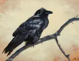 Edward Aldrich, Impending Opportunity, Oil on board