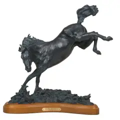 Jeff Wolf, Sure Sign of a Storm, Bronze, cast 2/18