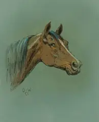 Olaf Wieghorst, Untitled (Horse head), Mixed Media