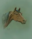 Olaf Wieghorst, Untitled (Horse head), Mixed Media