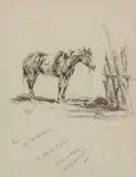 Olaf Wieghorst, From my Sketchbook - Horse, Pen & Ink