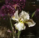 Daniel Gerhartz, Allium & Iris