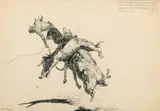 William R. James, Cowboys North and South