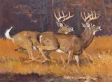Bob Kuhn, Two Fast Bucks, Acrylic on board