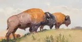 Bob Kuhn, High Plains Lothario