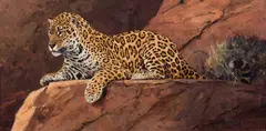 Ken Carlson, Border Cat, Oil on board