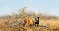 David Shepherd, Rhino by a Deadwood Anthill, Oil on canvas